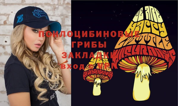 СК Козловка
